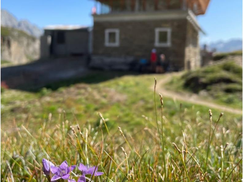 Image 1 - Capanna Corno Gries